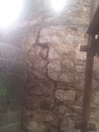 castlepark gate - 14200.jpg